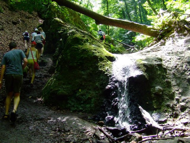DSCF0111 (Medium)